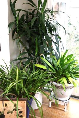 Sale Photo Thumbnail #48