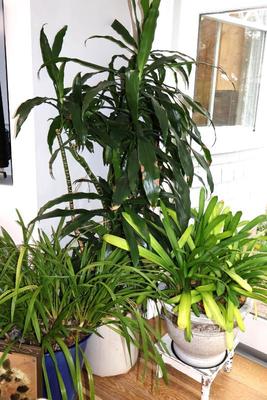 Sale Photo Thumbnail #52