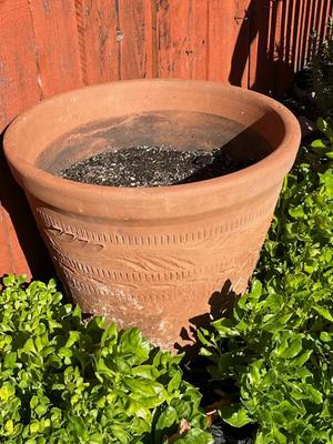 Sale Photo Thumbnail #538