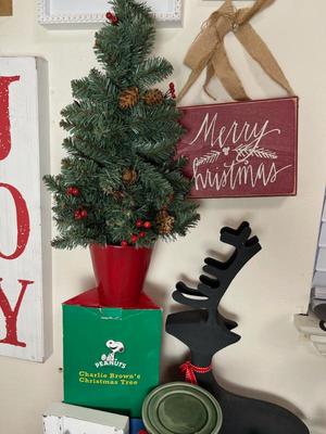 Sale Photo Thumbnail #471