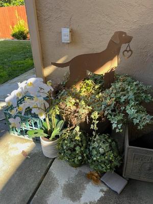 Sale Photo Thumbnail #556