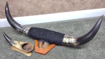 Sale Photo Thumbnail #97: 23" Steer Horn Wall Mount & Horn Ashtray