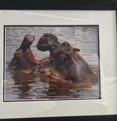 Sale Photo Thumbnail #52: 8b5fb212 a871 4285 b2ce aef5e23fd5ba 1 201 a