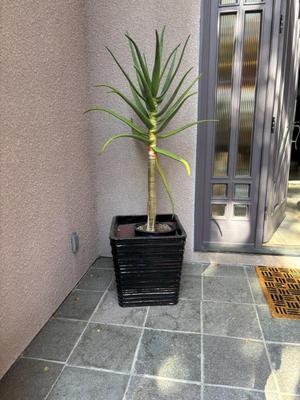 Sale Photo Thumbnail #42: 772b75b5 cfd4 42b4 9acb f15ee5ec8962 1 105 c