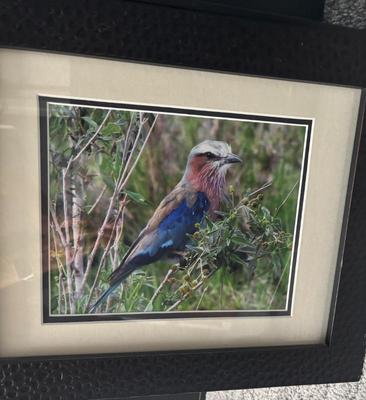 Sale Photo Thumbnail #53: Bbeebaa1 637a 4d22 8e31 cabc62cabb49 1 201 a