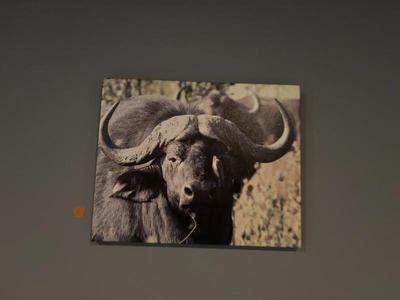 B2751425 8cea 47be 9e8b b52324a4d21c 1 105 c