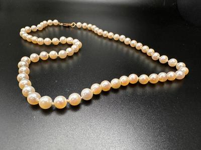 Sale Photo Thumbnail #7