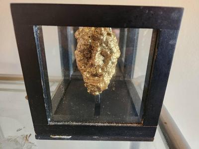 VANITAS IN A BOX BY DAVID MACINNES