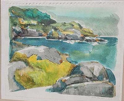 MANOR PARK LARCHMONT SHORELINE 1985 Y DAVID MACINNES