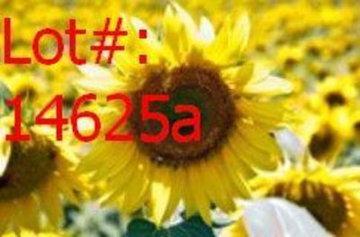 Sale Photo Thumbnail #1254