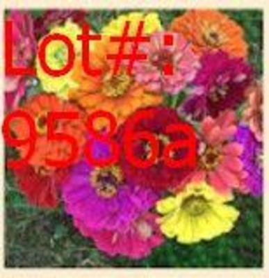 Sale Photo Thumbnail #1018