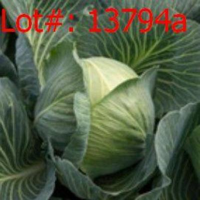 Sale Photo Thumbnail #1221