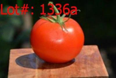 Sale Photo Thumbnail #332