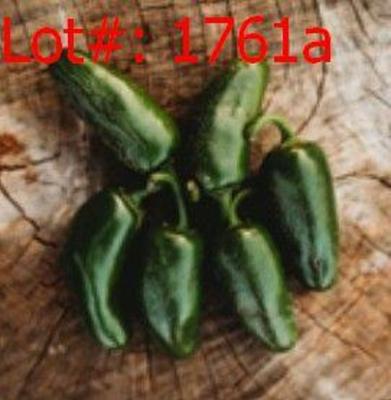 Sale Photo Thumbnail #699