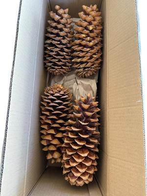 Sale Photo Thumbnail #62