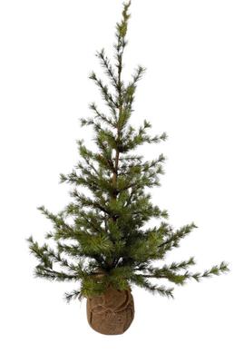 Sale Photo Thumbnail #86