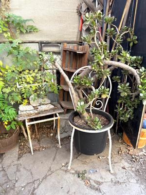 Sale Photo Thumbnail #286