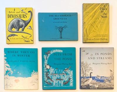 Sale Photo Thumbnail #199