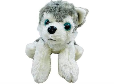 Sale Photo Thumbnail #176: Fluffy Blue Eyed Husky