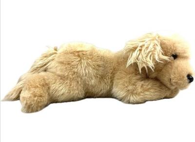 Sale Photo Thumbnail #175: Little Brownie Stuff Dog Super Cute :)