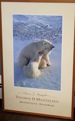 Sale Photo Thumbnail #23