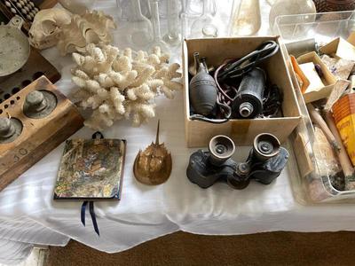 Sale Photo Thumbnail #5