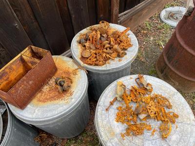 Sale Photo Thumbnail #538