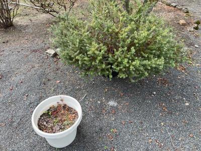 Sale Photo Thumbnail #578