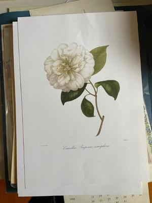 Sale Photo Thumbnail #312