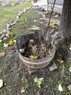 Sale Photo Thumbnail #583