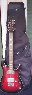 SCHECTER DIAMOND SERIES ELECTRIC GUITAR AND CASE