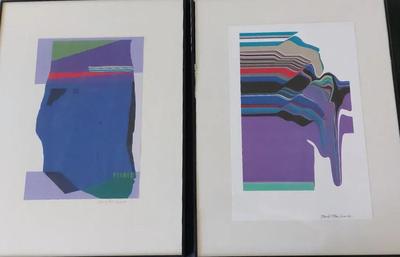 "UNTITLED VI" AND "UNTITLED VII" FRAMED DIGITAL ART BY ARTIST DAVID MACINNES 