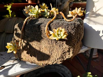 Sale Photo Thumbnail #594