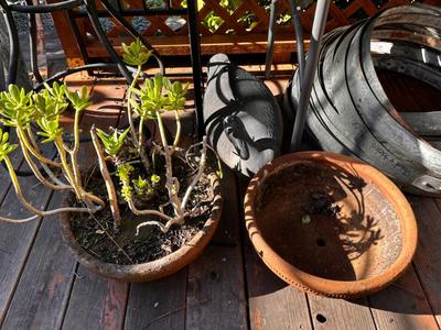 Sale Photo Thumbnail #597