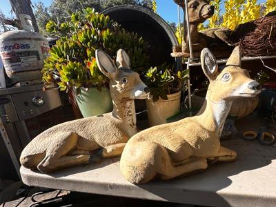 Sale Photo Thumbnail #568