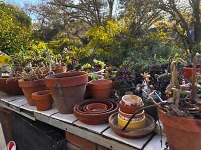 Sale Photo Thumbnail #580