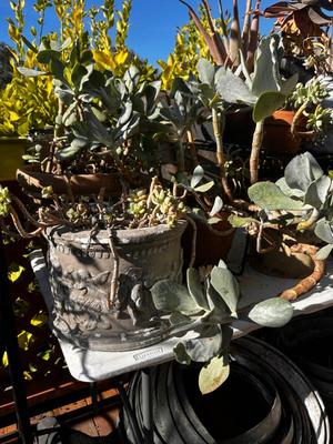 Sale Photo Thumbnail #592