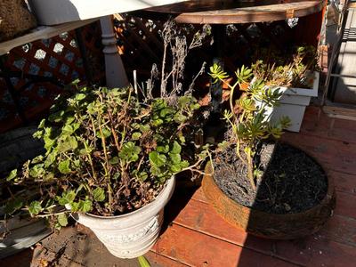 Sale Photo Thumbnail #595