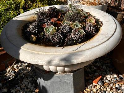 Sale Photo Thumbnail #549