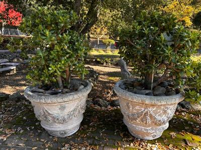 Sale Photo Thumbnail #557