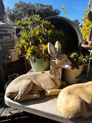 Sale Photo Thumbnail #565