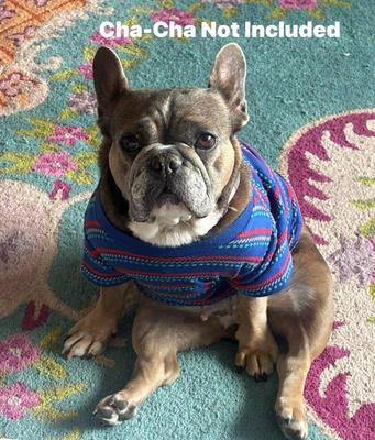 Sale Photo Thumbnail #10