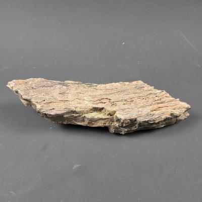 petrified wood