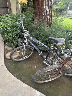 Sale Photo Thumbnail #49