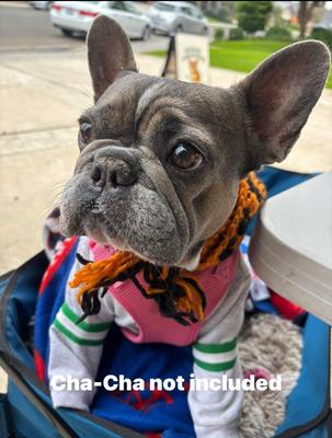 Sale Photo Thumbnail #107