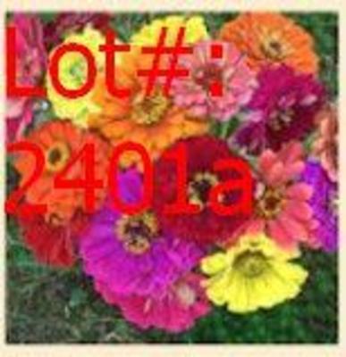 Sale Photo Thumbnail #510