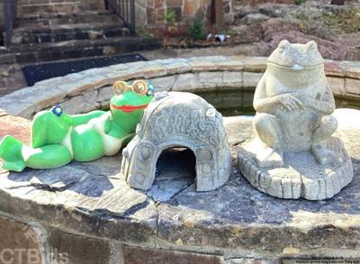 Ceramic green frog concrete frog and