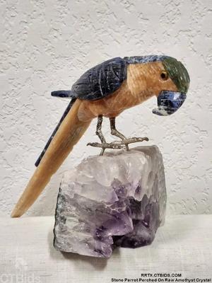 Stone parrot perched on raw amethyst crystal
