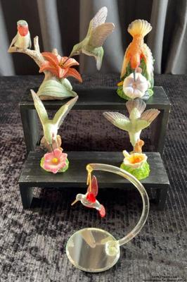Hummingbirds for display 6 pcs)