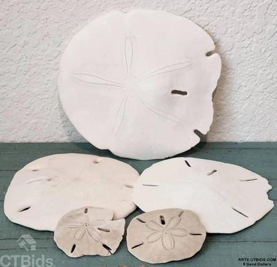 5 sand dollars